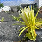 Bio La Asomada Apartman Tías