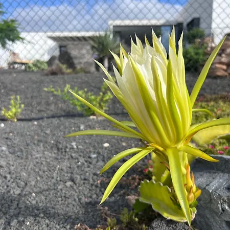 Bio La Asomada Appartamento Tías