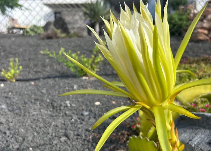 Bio La Asomada Apartamento Tías